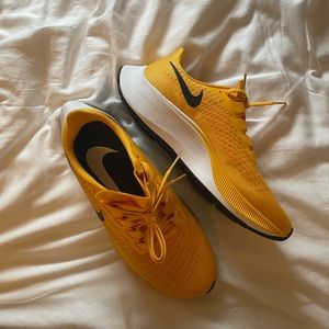 Nike Zoom Pegasus 37